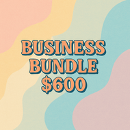 Business Bundle 300 for $600